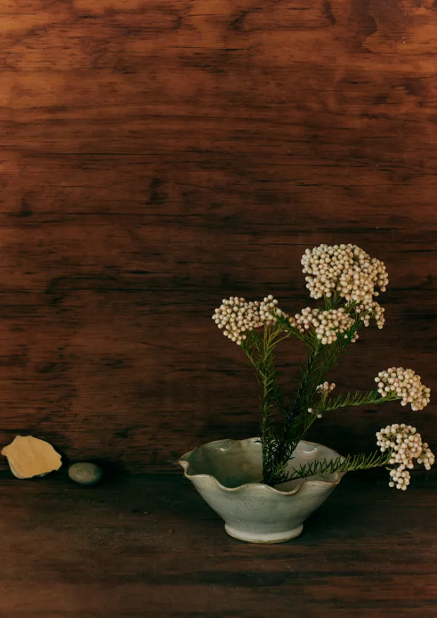 alice_passingham_scalloped_flower_frog_7.webp Decorative Pieces | Ceramics-TOAST Alice Passingham Scalloped Flower Frog White