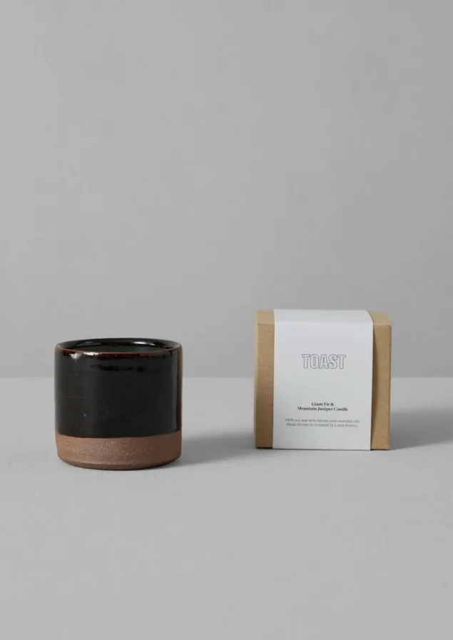 giant_fir_and_mountain_juniper_scented_candle_1.webp Candles & Holders-TOAST Giant Fir and Mountain Juniper Scented Candle GiantFiru0026MountainJuniper