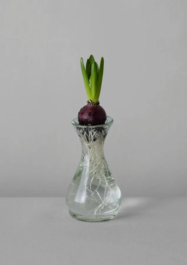 hand_blown_polonaise_vase_10.webp Glass | Decorative Pieces-TOAST Hand Blown Polonaise Vase Clear