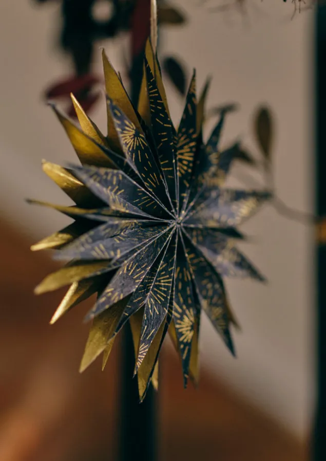 hanging_lokta_paper_star_set_3.webp Christmas Decorations-TOAST Hanging Lokta Paper Star Set Multi