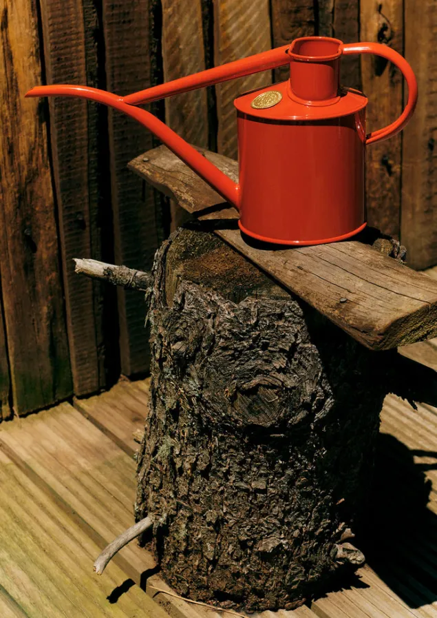 haws_fazeley_flow_indoor_watering_can_1.webp Outdoor-TOAST Haws Fazeley Flow Indoor Watering Can Nasturtium