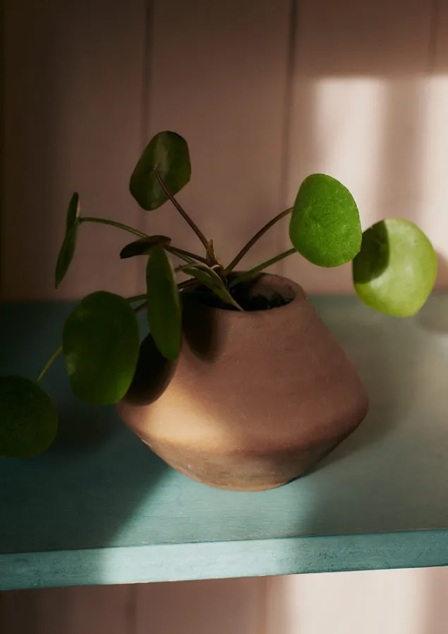 lopa_terracotta_planter_5.webp Decorative Pieces | Outdoor-TOAST Lopa Planter Terracotta