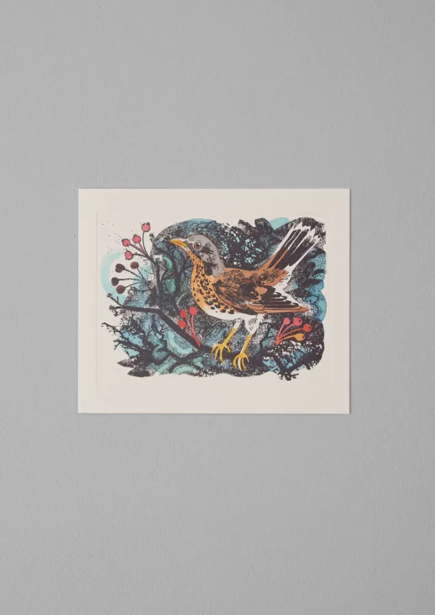 mark_hearld_greeting_card_set_8.webp Stationery | Christmas Decorations-TOAST Mark Hearld Greeting Card Set Multi