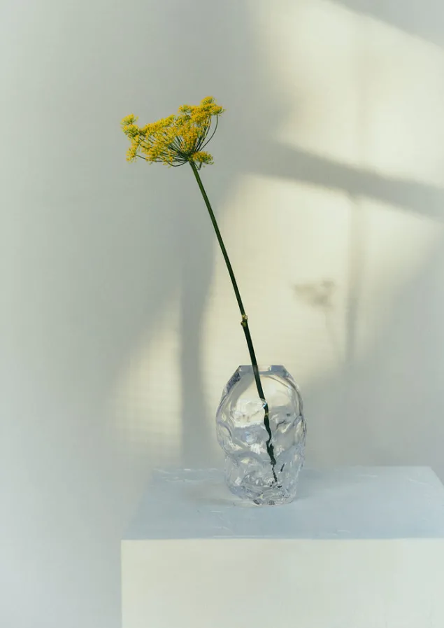 rosie_stonham_medium_membrane_vase_2-2.webp Glass | Decorative Pieces-TOAST Rosie Stonham Medium Membrane Vase Transparent