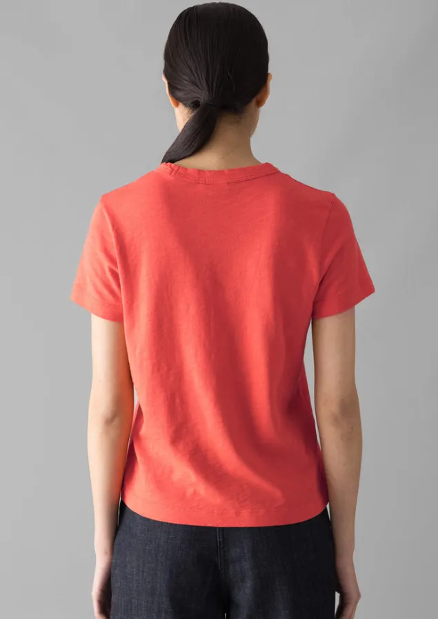 sadie_organic_cotton_boy_tee_6.webp Jersey | Tops & Tees-TOAST Sadie Organic Cotton Boy Tee Poppy