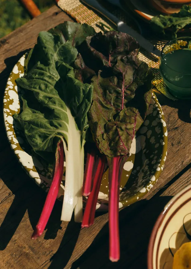 splatter_enamel_platter_11.webp Outdoor | Kitchen-TOAST Splatter Enamel Platter Olive/Ecru