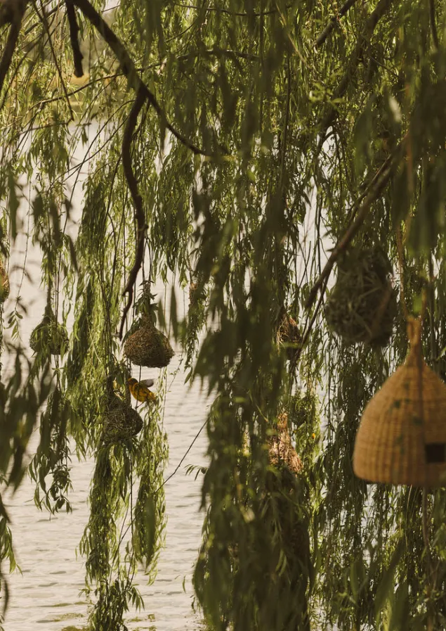 veta_vera_grass_bird_nester_2.webp Outdoor-TOAST Veta Vera Grass Bird Nester Natural
